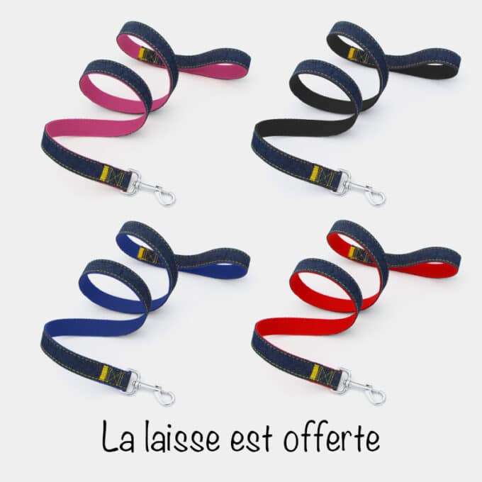 Harnais baudrier pour chien ou en H