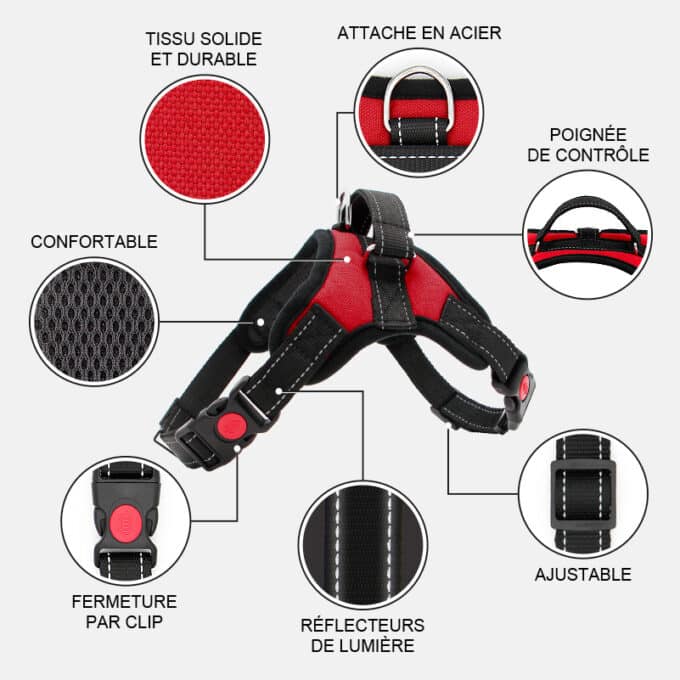 harnais-en-t-chien-meilleur Meilleur harnais en T pour chien
