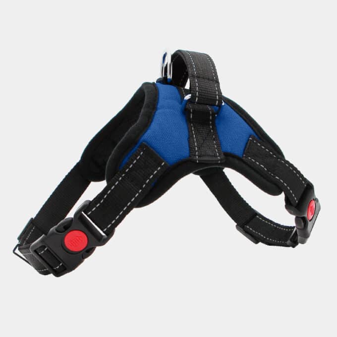 harnais-leger-poigne-chien-chiot-education-canine-17 harnais pour chien avec poignée pas cher