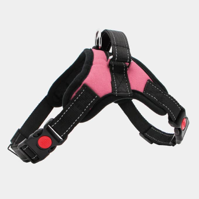 harnais-leger-poigne-chien-chiot-education-canine-18 harnais pour chien avec poignée pas cher