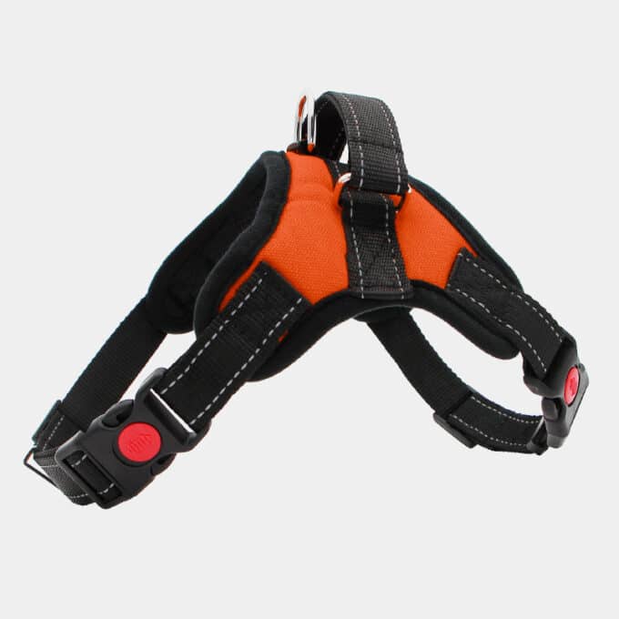 harnais-leger-poigne-chien-chiot-education-canine-19 harnais pour chien avec poignée pas cher