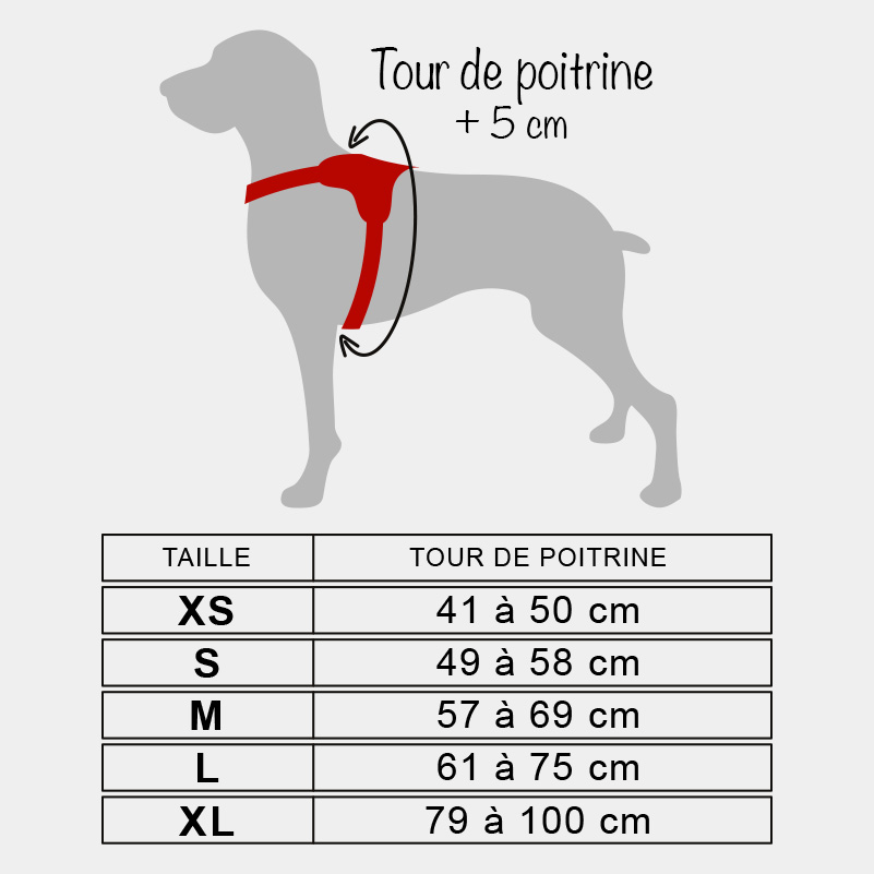 Guide des tailles harnais en T pour chien