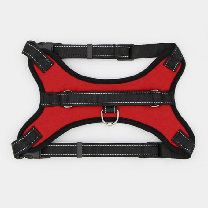 harnais-leger-poigne-chien-chiot-education-canine-5 harnais pour chien avec poignée pas cher
