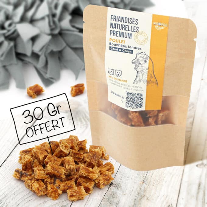 Tapis de fouille pour chien snuffle mat