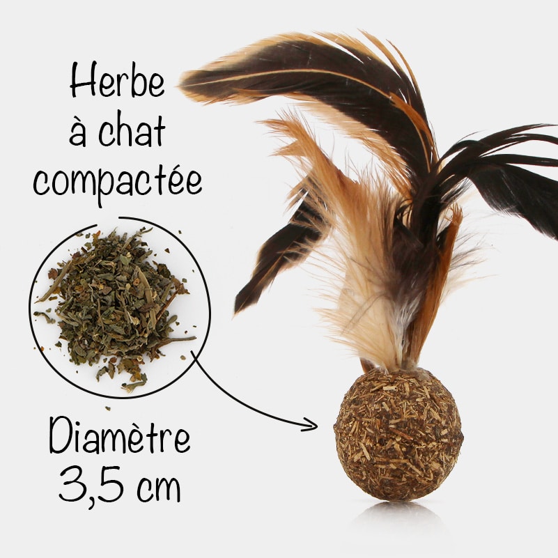 Balle de cataire pour chat à grandes plumes - Herbe à chat - Catedogshop