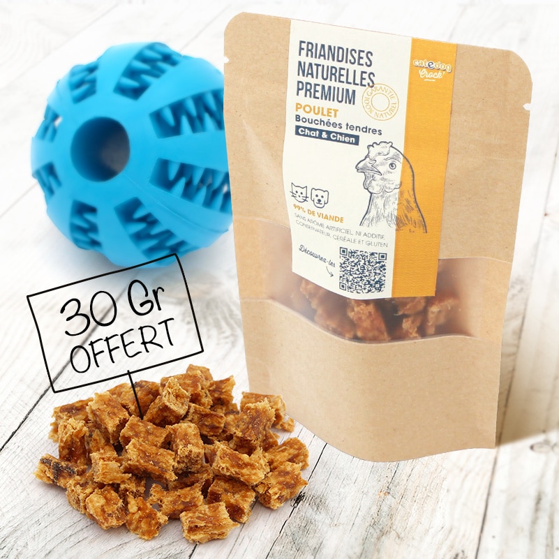 Jouet à Renifler Pour Chien - Balle à Friandises, Alimentation Lente - Stimulation Mentale, Mastication