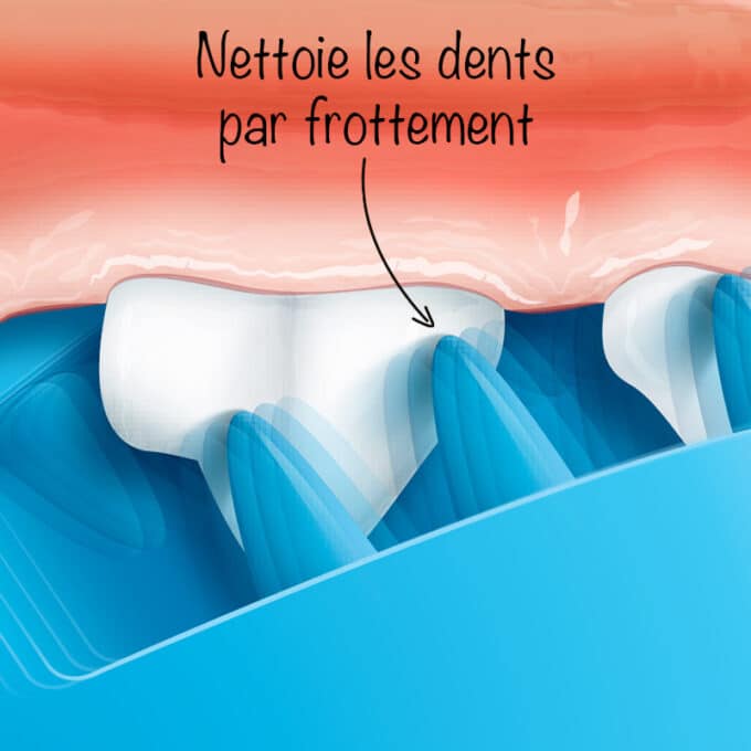 Balle à friandises qui nettoie les dents du chien