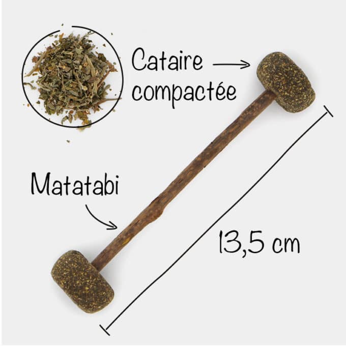 jouet-baton-matatabi-cataire-catnip-herbe-chat-chaton-2 jouet baton matatabi et cataire catnip herbe à chat pour chat et chaton
