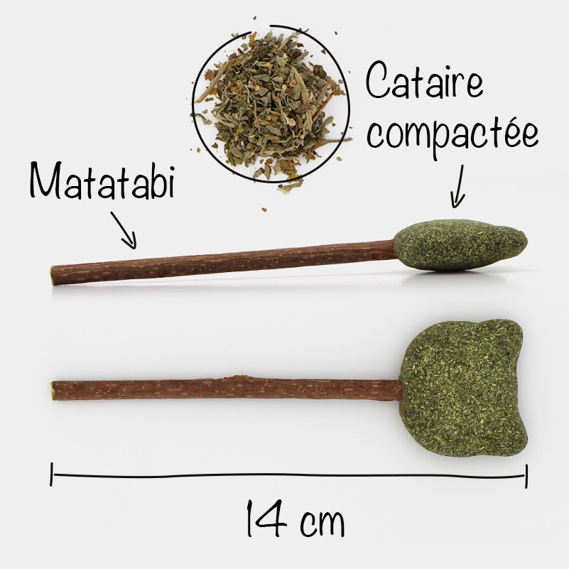 Bâtonnets Herbe à Chat, Bâtonnets à Mâcher Matatabi, Baton Chat, 30+2  Pièces Baton Chat Catnip, Jouets Herbe à Chat Bâtons, Jouet de Boules  Cataire Comestibles, Ensemble de Bâtons à Mâcher pour Chats 