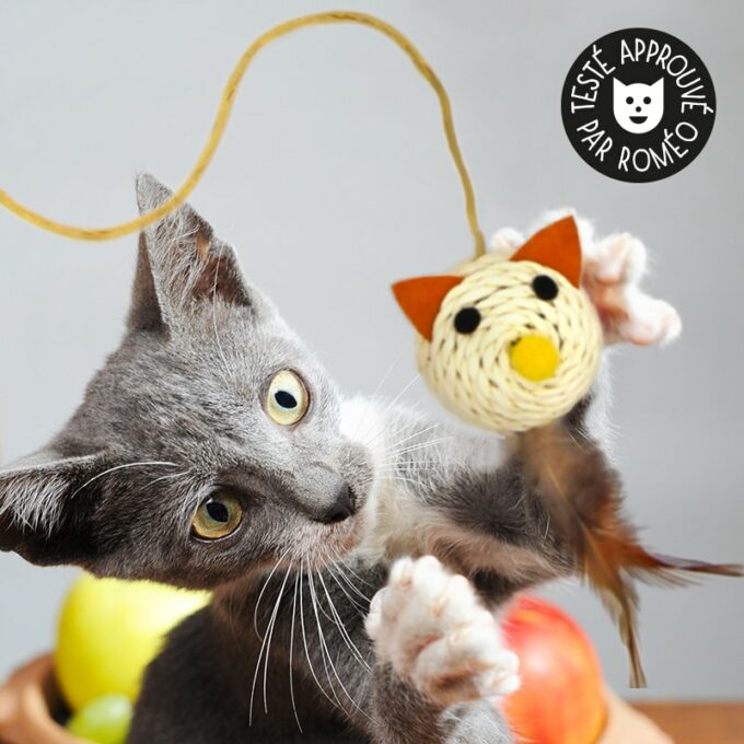 Canne A Peche Chat Balle Avec Plumes Catedogshop Canne A Peche Chat Balle Avec Plumes Catedogshop