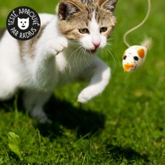 Jouet canne à pêche en bois avec plumes et oiseau pour le chat ou le chaton