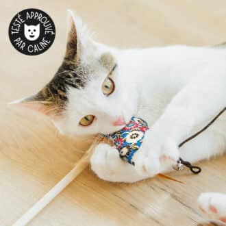 Jouet canne à pêche en bois avec plumes et poisson pour le chat ou le chaton