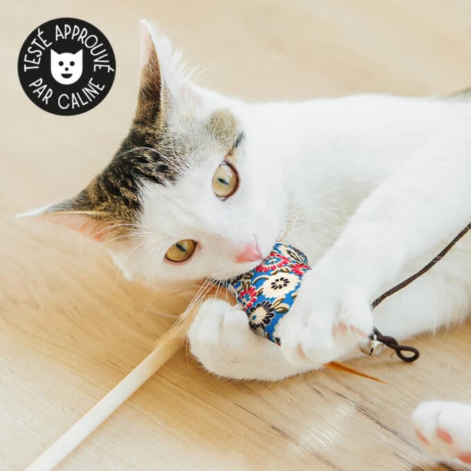 jouet-canne-peche-bois-plume-poisson-chat-chaton-1 Jouet canne à pêche en bois avec plumes et poisson pour le chat ou le chaton