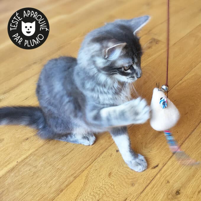 jouet peluche souris en tissu pour le chat ou le chaton