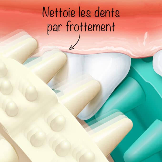 jouet-caoutchouc-nettoyer-dents-chien-6 Balle dentaire avec picots pour nettoyer les dents du chien