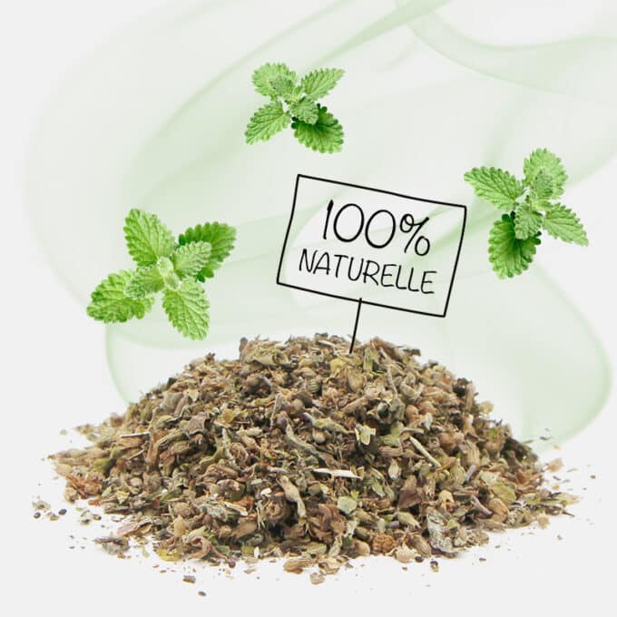 jouet-cataire-catnip-herbe-chat-chaton-naturelle-4 Herbe à chat séchée cataire bio
