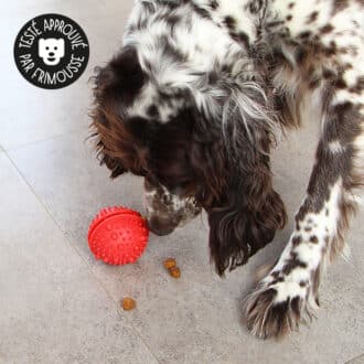 jouet alimentaire anti glouton balle distributrice de croquettes pour le chien et le chiot