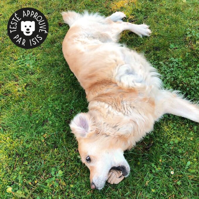Jouet en corde pour chien avec nœuds à mâcher