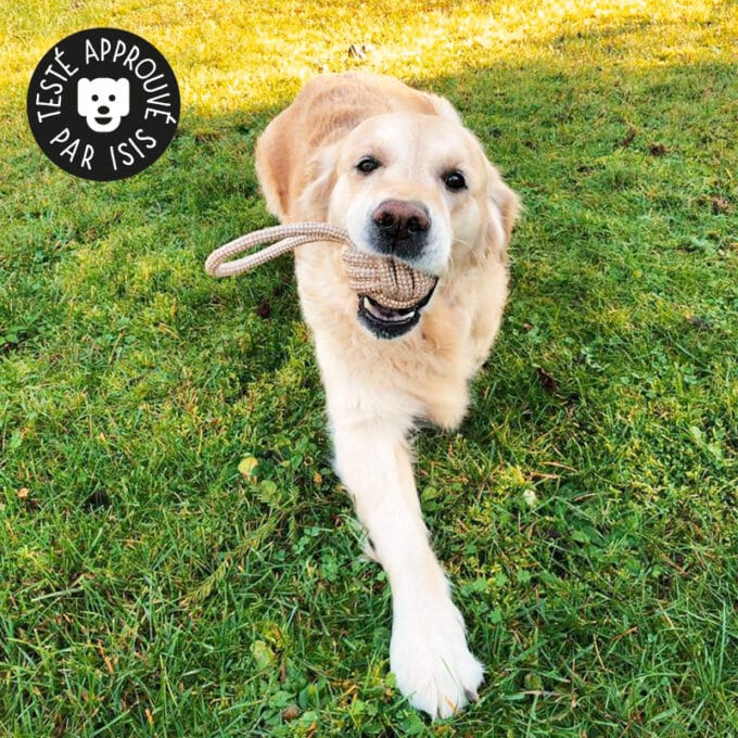 jouet-jeu-balle-corde-noeud-mastication-tirer-chien-20 Jouet en corde pour chien avec nœuds à mâcher