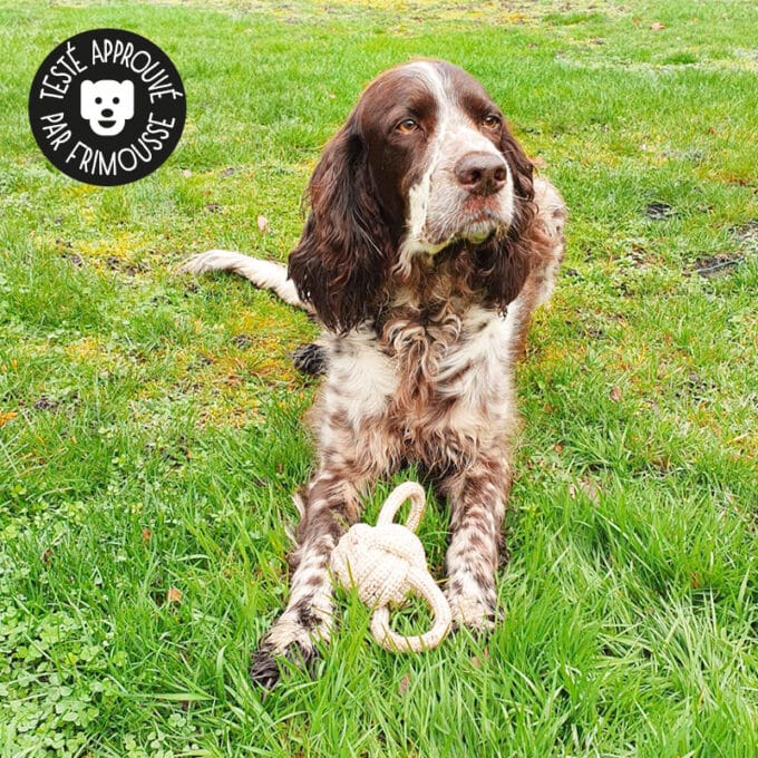 jouet-jeu-balle-corde-noeud-mastication-tirer-chien-21 Jouet en corde pour chien avec nœuds à mâcher