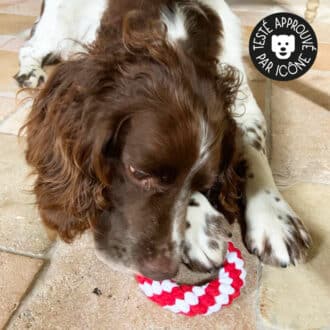 Jouet en corde pour la mastication du chien et du chiot