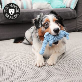 Jouet peluche éléphant en corde pour la mastication du chien et du chiot
