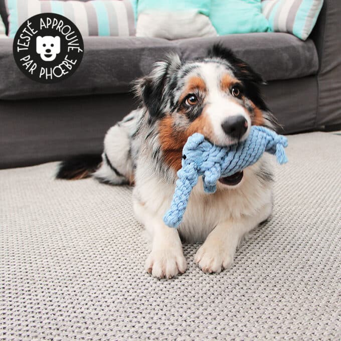 jouet-jeu-chien-chiot-peluche-corde-mastication-1 Jouet peluche éléphant en corde pour la mastication du chien et du chiot