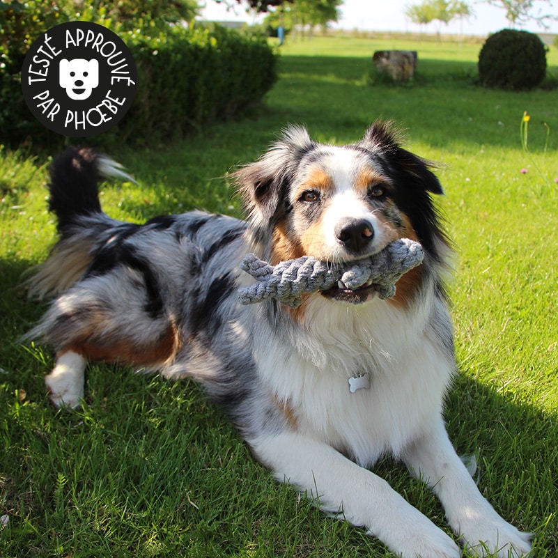 Jouet en corde pour chien - peluche chien à mâcher - Catedogshop