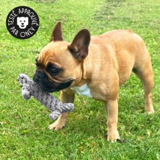 Jouet en corde pour chien à mastiquer