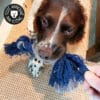 Jouet en corde pour chien avec nœuds à mâcher