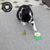 Jouet papillon qui vole pour chat interactif