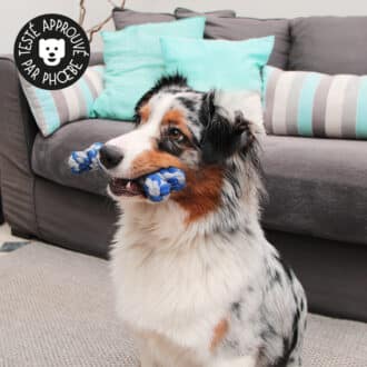 Jouet en corde pour chien avec nœuds à mâcher