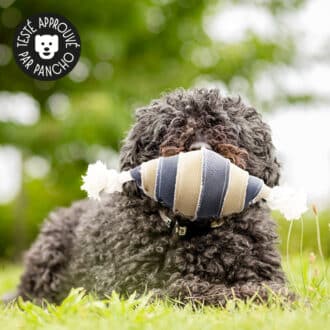 Jouet balle en toile de jute pour la mastication du chien et du chiot