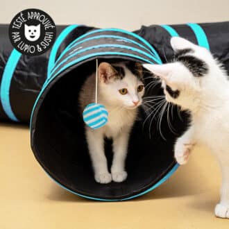 Jouet tunnel pour chat