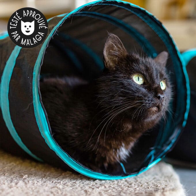 jouet-jeu-tunnel-balle-chat-chaton-6 Tunnel pour chat