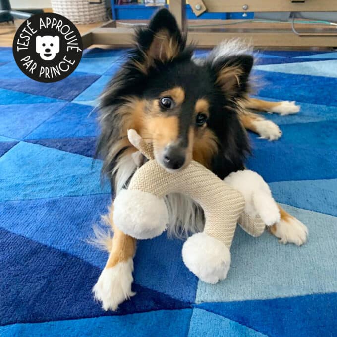 Peluche pour chien qui couine