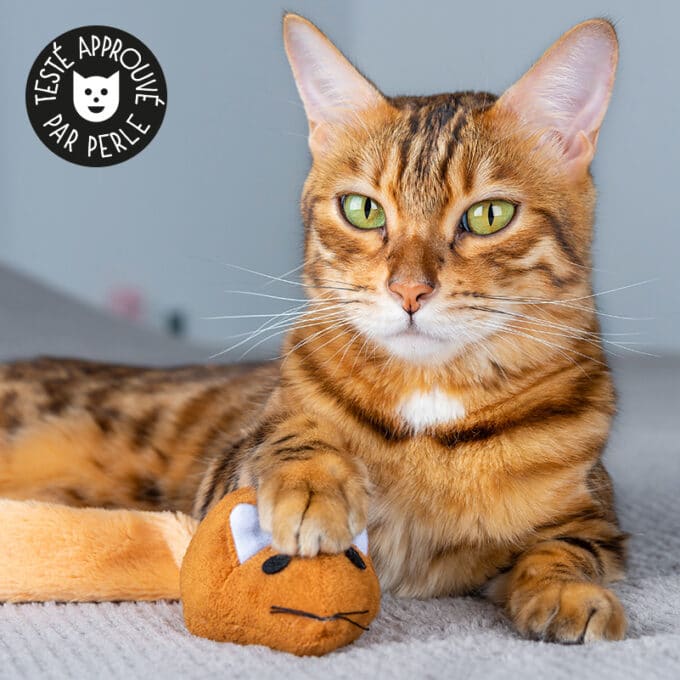 Souris pour chat en peluche