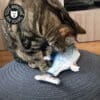 jouet-peluche-poisson-bouge-queue-chat-chaton jouet peluche poisson réaliste bouge la queue imprégné d'herbe à chat cataire catnip