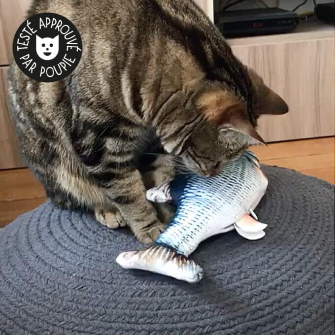 jouet-peluche-poisson-bouge-queue-chat-chaton jouet peluche poisson réaliste bouge la queue imprégné d'herbe à chat cataire catnip