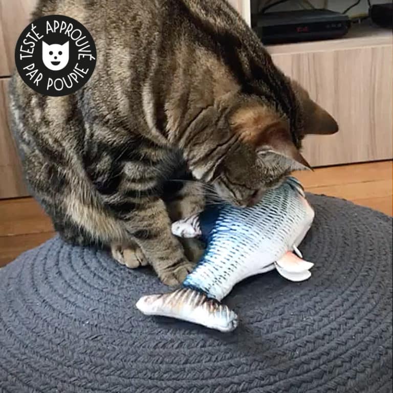 Poisson qui bouge pour chat Jouet interactif Poisson qui bouge pour chat Jouet interactif