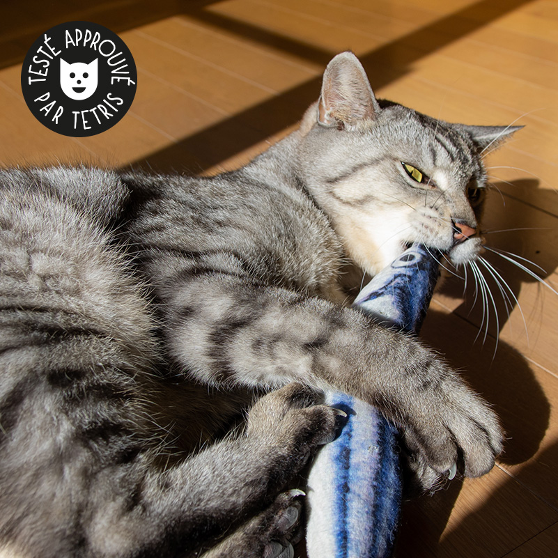 Camon | Jouet Poisson Denim | Jouet pour chat en forme de poisson avec  herbe-à-chat