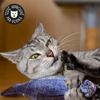 Poisson pour chat avec cataire et herbe à chat
