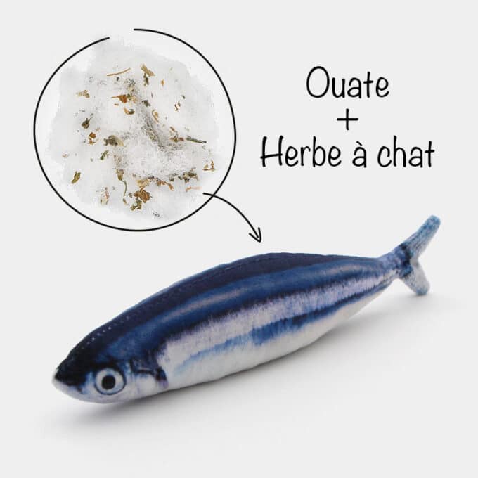 jouet-peluche-poisson-herbe-chat-chaton-catnip-cataire-11 Coussin herbe à chat effet