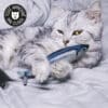 jouet-peluche-poisson-herbe-chat-chaton-catnip-cataire-12 Poisson truite à l'herbe à chat cataire