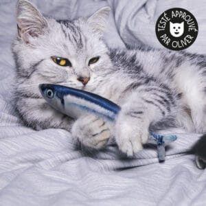 Poisson Qui Bouge Pour Chat Jouet Interactif Catedogshop