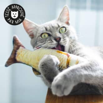 Jouet poisson en tissu avec herbe à chat
