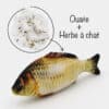 jouet-peluche-poisson-herbe-chat-chaton-catnip-cataire-9 Coussin herbe à chat effet