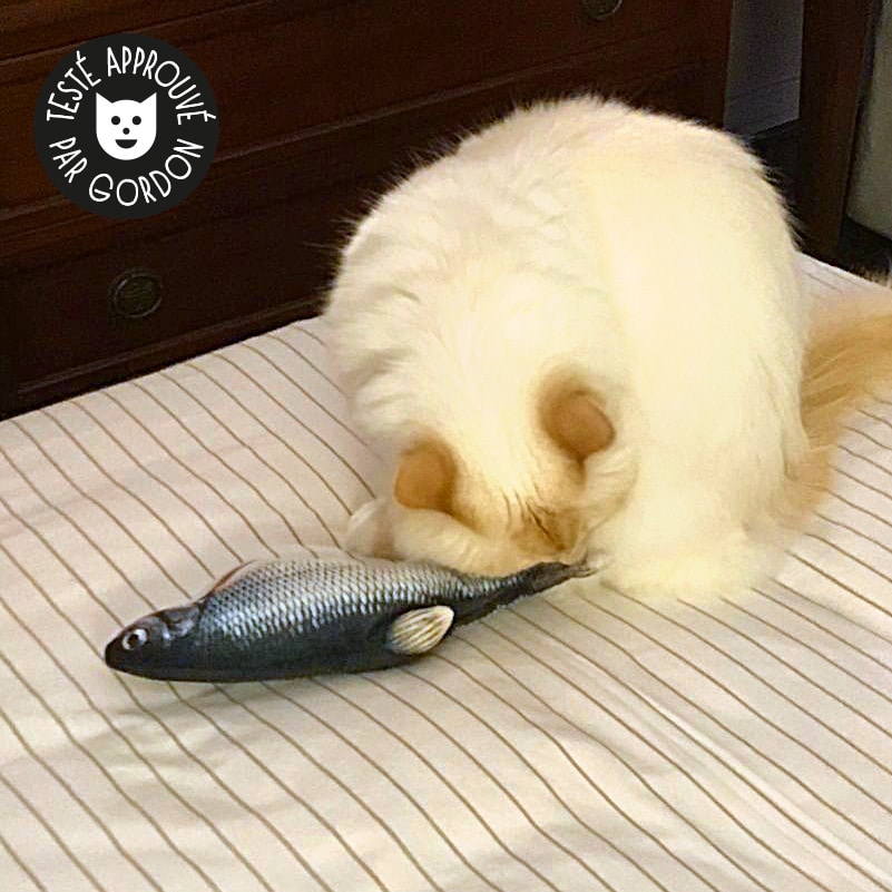 Jouet Poisson Interactif pour Chat