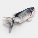 Poisson qui bouge la queue pour chat jouet électronique interactif