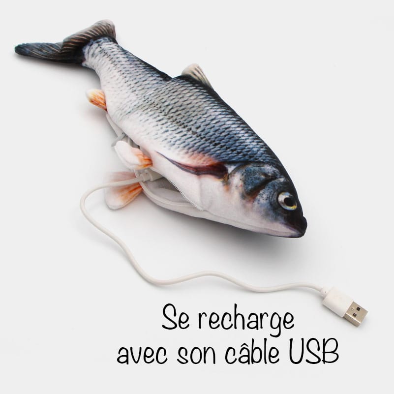 Senneny Jouet électrique pour chat de poisson en mouvement carpe rouge